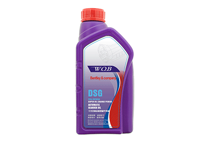 Dsg
